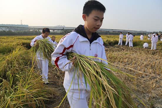 推广初中生学农教育校长:对人一生很有价值